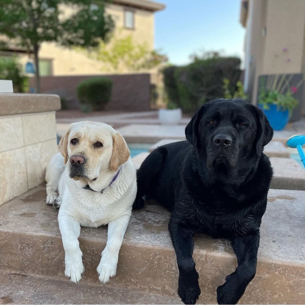 Quick list item - Picture 3 of 7